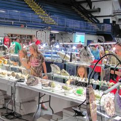 Capital Mineral Club’s 55th annual Gem, Mineral, Fossil and Jewelry Festival sure to be a rockin’ good time