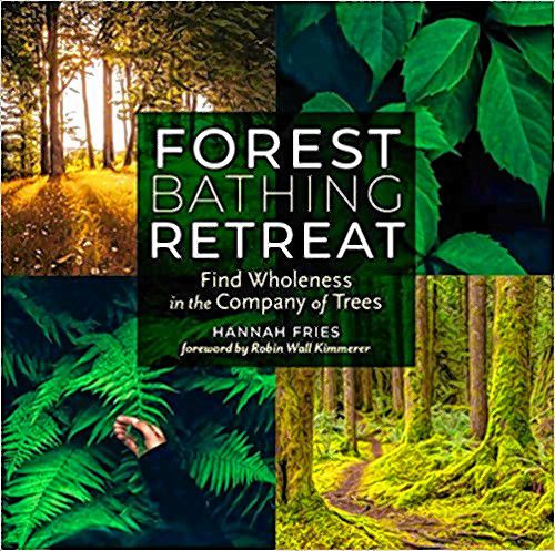 Learn about forest bathing with Hanna Fries at Gibson’s Bookstore - The ...