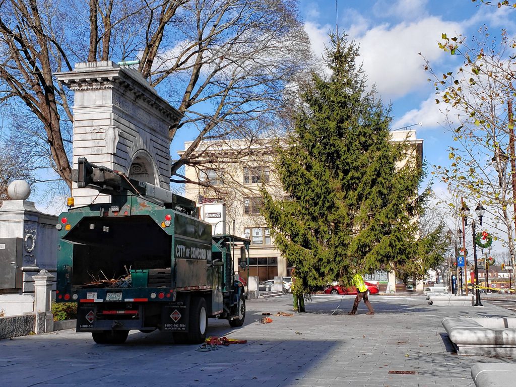 City crews installed a 35 foot Norway Spruce tree outside the State House on Wednesday. This year’s tree came from Blossom Hill Cemetary, the same place as last year’s tree.  Courtesy