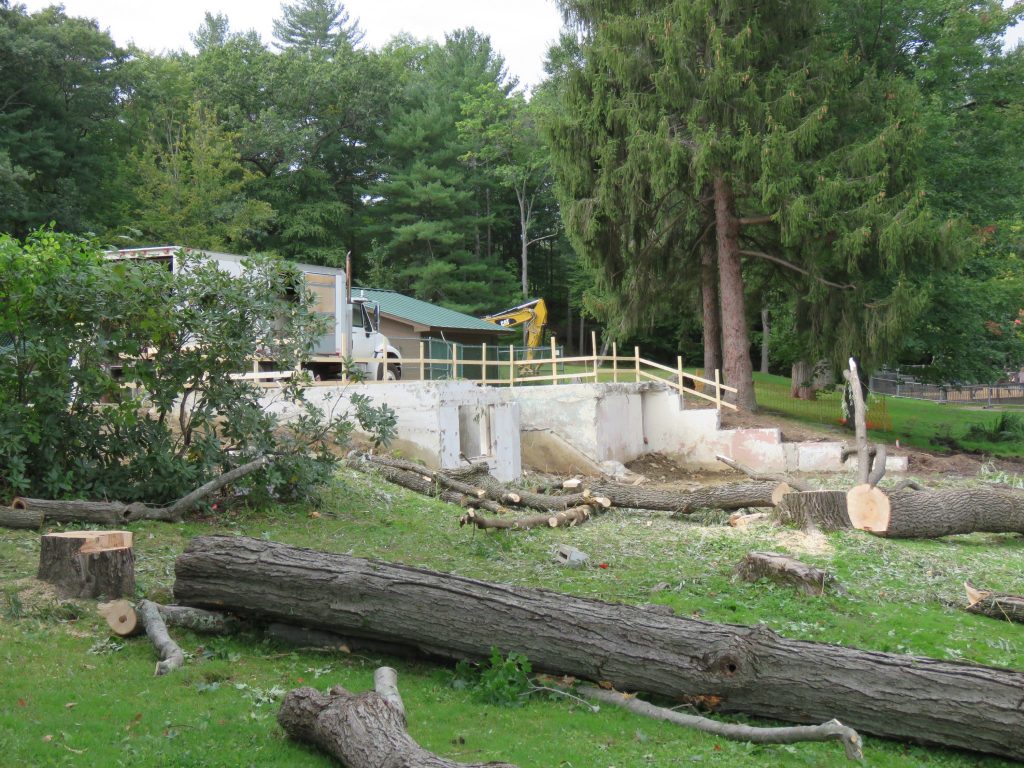 The old White Park skate house, shown after it was demolished in late September.  Caitlin Andrews