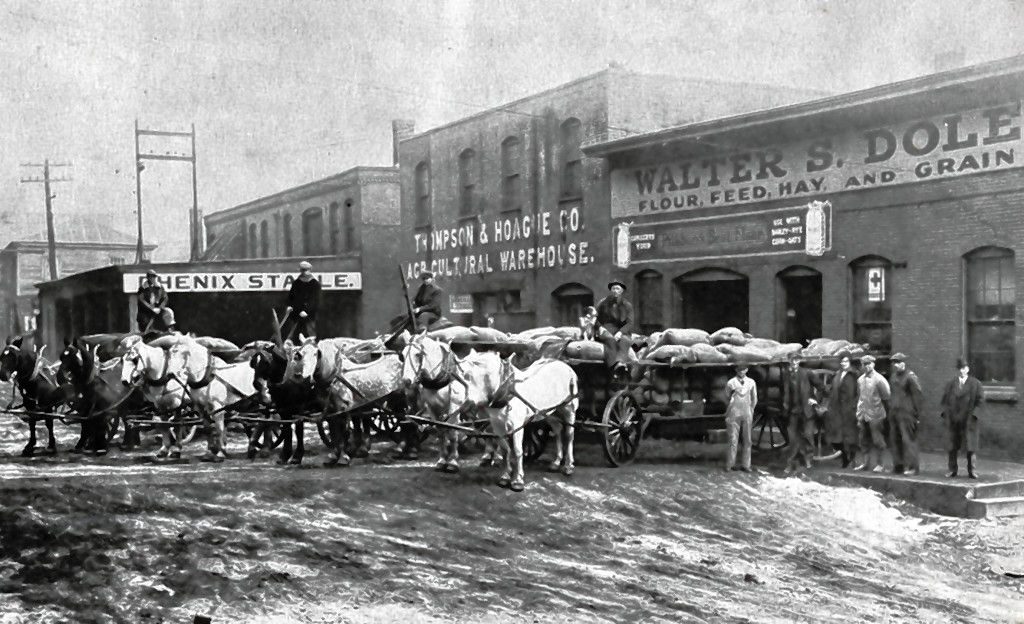 Here we have proof that traffic is not a new phenomenon in downtown Concord, though there is admittedly less horse and buggy congestion these days. This photo, courtesy of faithful reader Earl Burroughs, shows Low Avenue in the late 1800s or early 1900s. Some artifacts live on to this day: note the Thompson and Hoague sign in the background, which is still there now, though significantly more faded than it was in this picture. Courtesy of Earl Burroughs