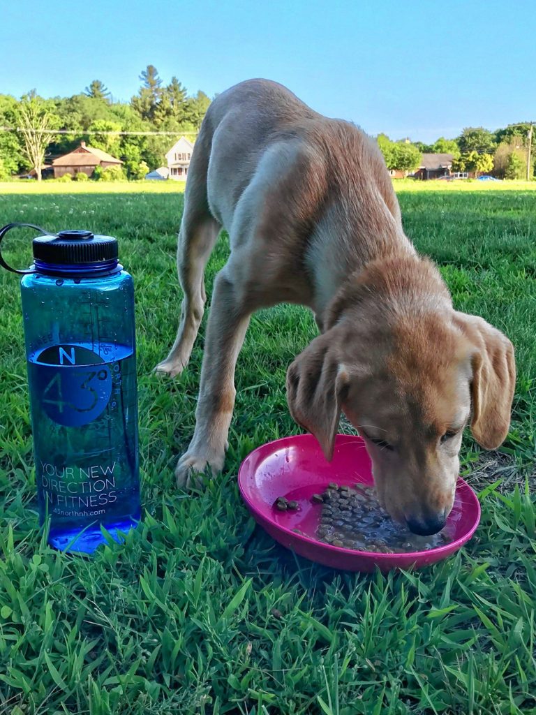 Your only goal this summer is to spend as much time outside as you can. Bonus points for bringing your puppy out with you. Courtesy of Crystal Reynolds