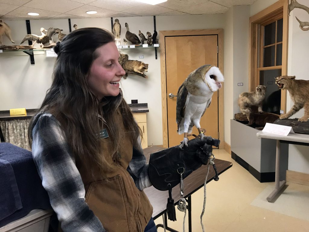 New Hampshire Audubon Education Coordinator Shelby Bernier with a barn owl raised by and cared for at the McLane Center. Greater Concord Chamber of Commerce. 