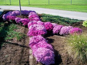 The Garden of Hope at Memorial Field, designed and built in 2003, is dedicated to all who have been touched by breast cancer.