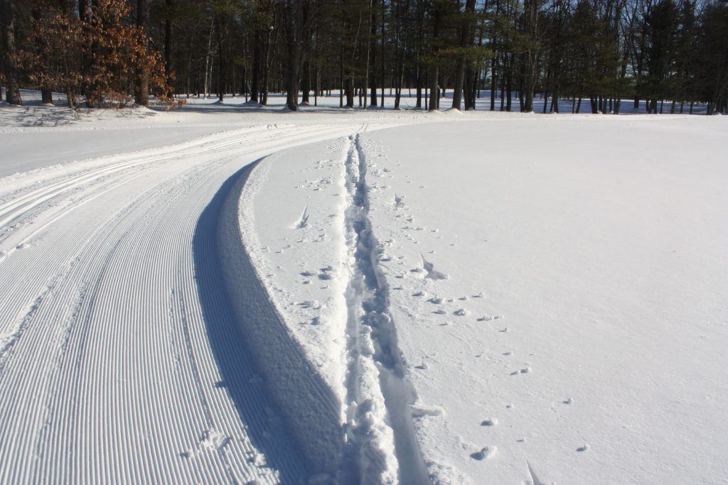 Some brave showoff decided to make their own cross-country ski trail at Beaver Meadow last week. (JON BODELL / Insider staff) JON BODELL / Insider staff