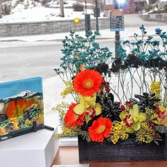 ‘Art  and Bloom’ returns to League gallery
