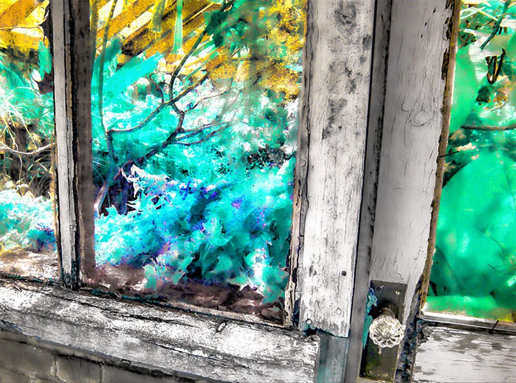 “Greenhouse, Strawbery Banke”, an infrared photograph by Mark Giuliucci 