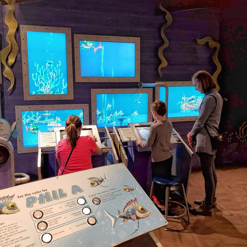 Families use the Virtual Fish Tank at the McAuliffe-Shepard Discovery Center.  