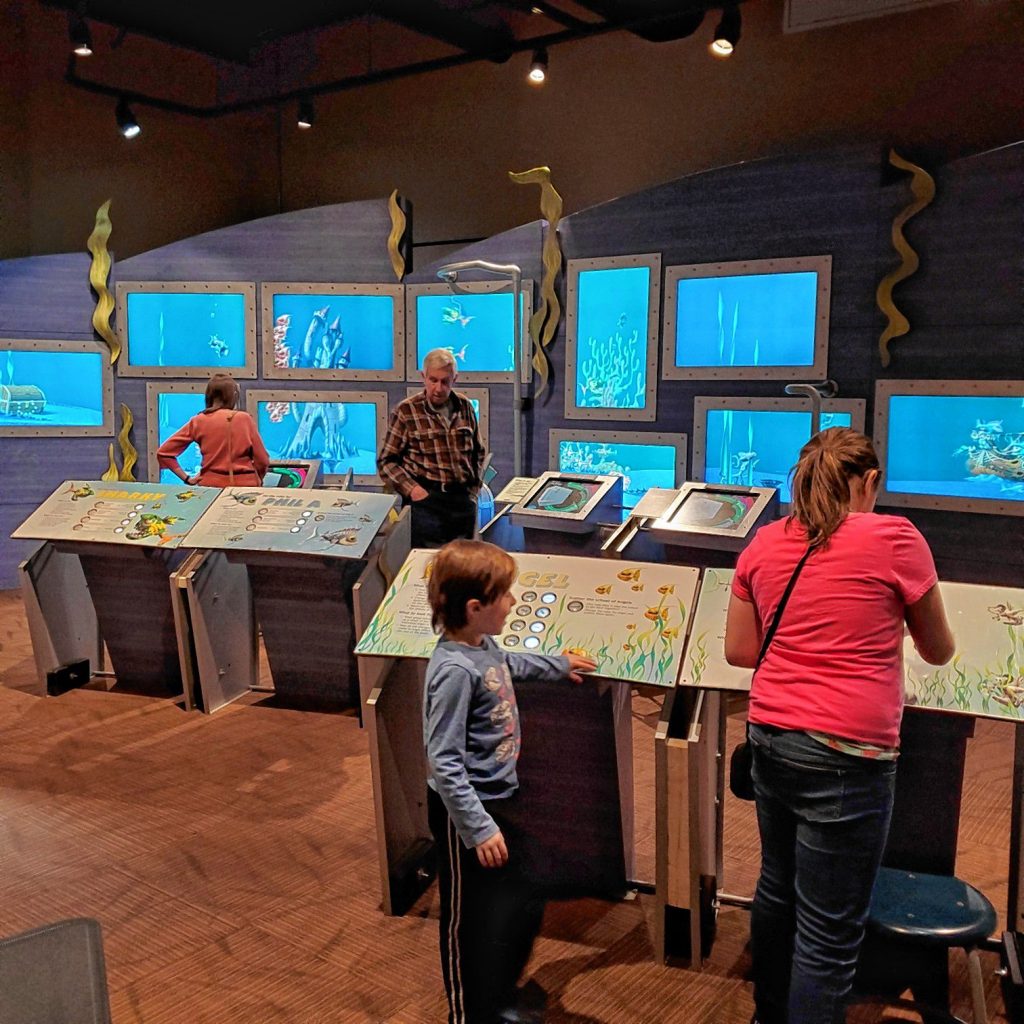 Families use the Virtual Fish Tank at the McAuliffe-Shepard Discovery Center.  