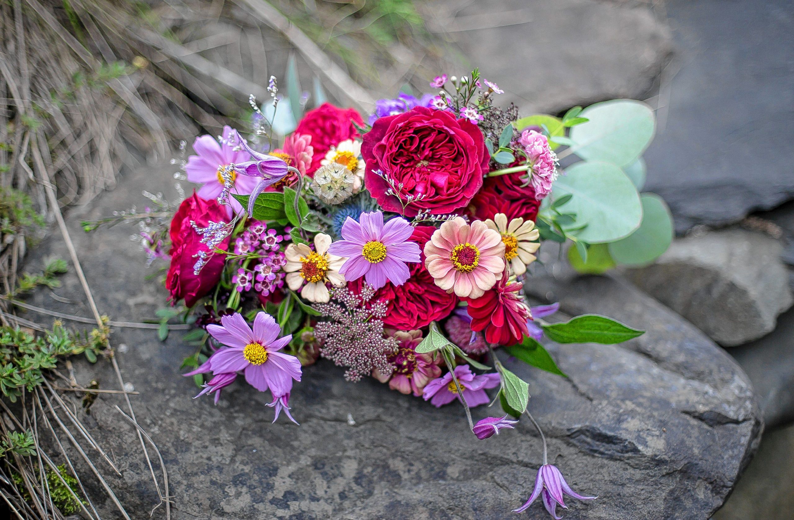 Sectarian Roses According to flower euthisists, red roses mean “love,” but crimsom ...