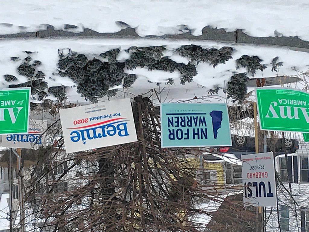 Political signs at the bottom of Franklin Street.  