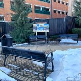 City newsletter: New history display, winter activity updates