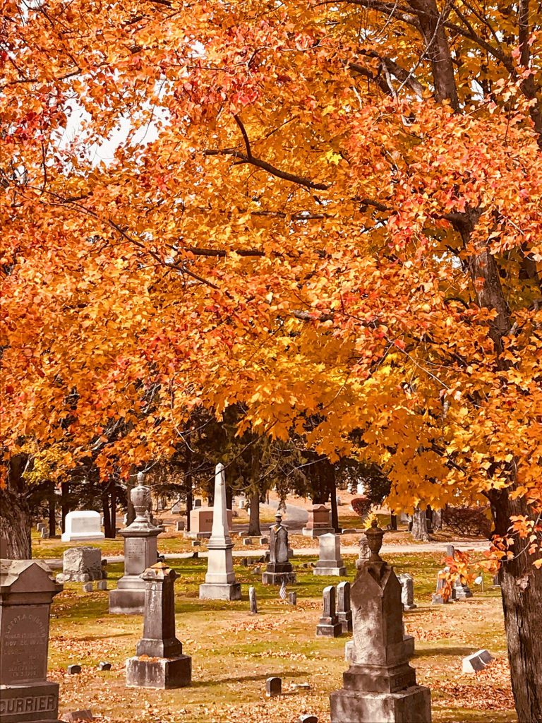 Blossom Hill Cemetery 