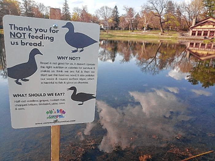 The Parks and Recreation Department added new signs around White and Merrill park ponds educating park users not to feed the ducks bread. Bread is not good for ducks, as it does not contain the right nutrition or calories.