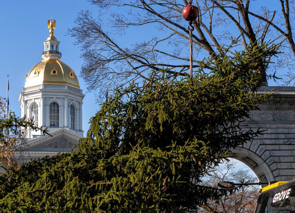 The 2021 Concord Christmas tree is put into place in City Plaza in front of the State House on Thursday, November 18, 2021. GEOFF FORESTER