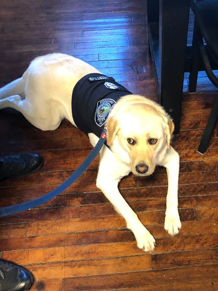 Concord police K-9 Liberty joined officers and members of the community for Coffee With A Cop at White Mountain Gourmet Coffee.