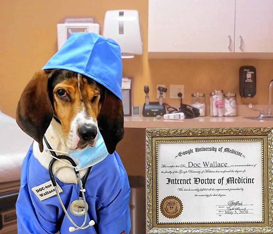 Doc the Blind Coonhound: The Doctor is in! Doc is a blind, 5-year-old Treeing Walker Coonhound who was rescued by Survivor Tails Animal Rescue as a puppy. He loves to pose for photos in any get-up as long as yummy treats are involved! 