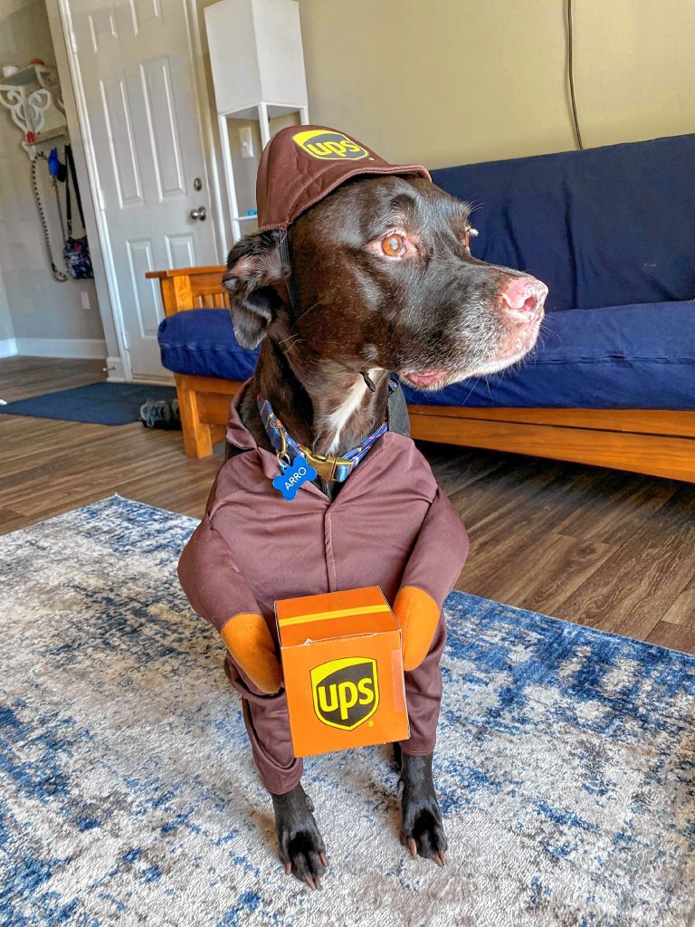 UPS Man: Arro decided to dress up like one of his favorite people this year. A UPS man, or his dad.  