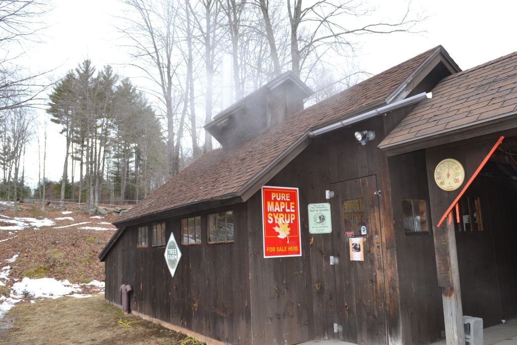Since Mother Nature didn't exactly cooperate with our idea for a maple syrup issue, we stopped by Mapletree Farm last week to actually see the sweet stuff being made. Tim Goodwin