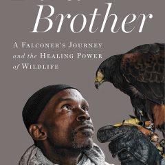 Book: Bird Brother