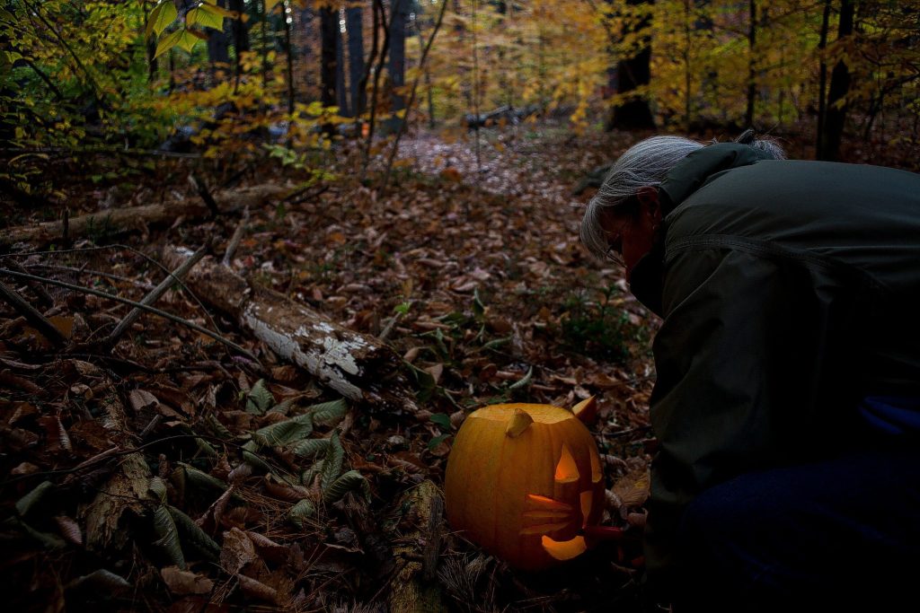 Laura Deming, of Salisbury, and biologist at the New Hampshire Audubon, lights jack-o-lanterns that lined the path of this year's Enchanted Forest on Saturday evening, October 26, 2013. The program started up again after a hiatus since 2004 and offers an educational alternative to haunted houses and haunted forests. The forest had several stops where skits were performed by volunteers and Audubon staff and the trail was lit by jack-o-lanterns.  (JOHN TULLY / Monitor Staff) John Tully