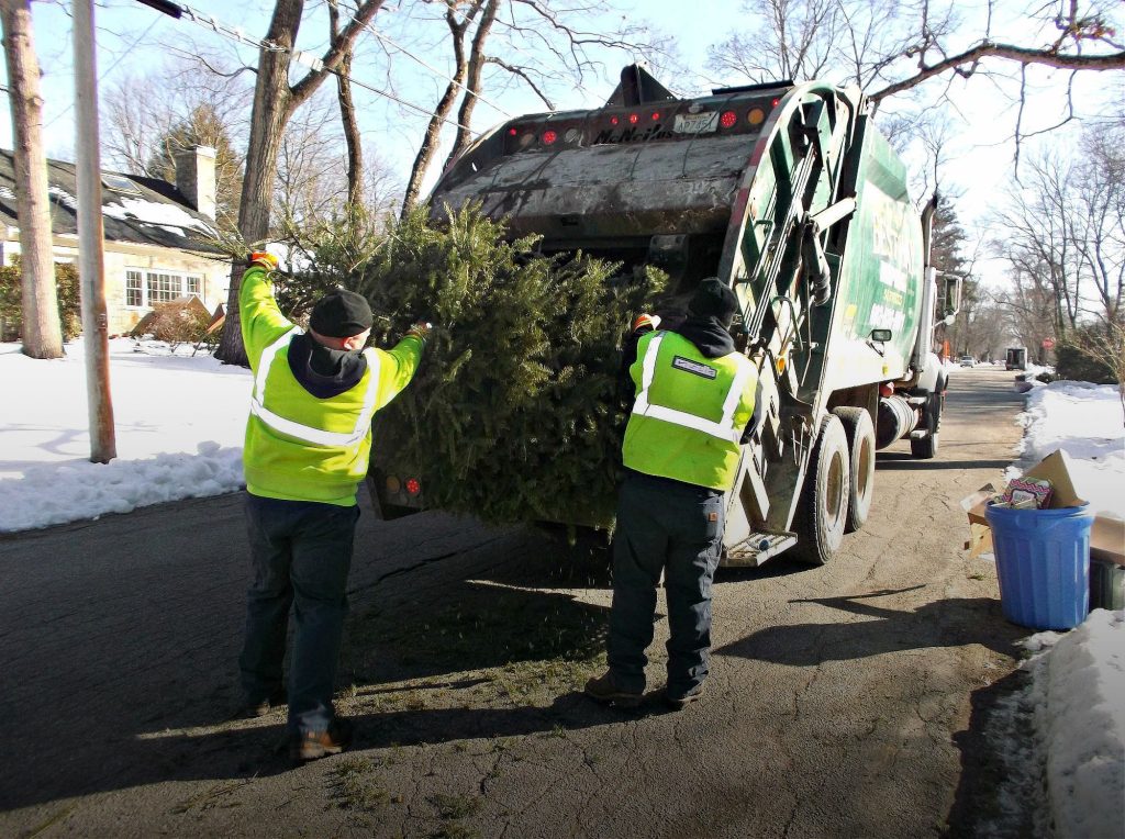 Casella employees collect a Christmas tree with curbside trash.